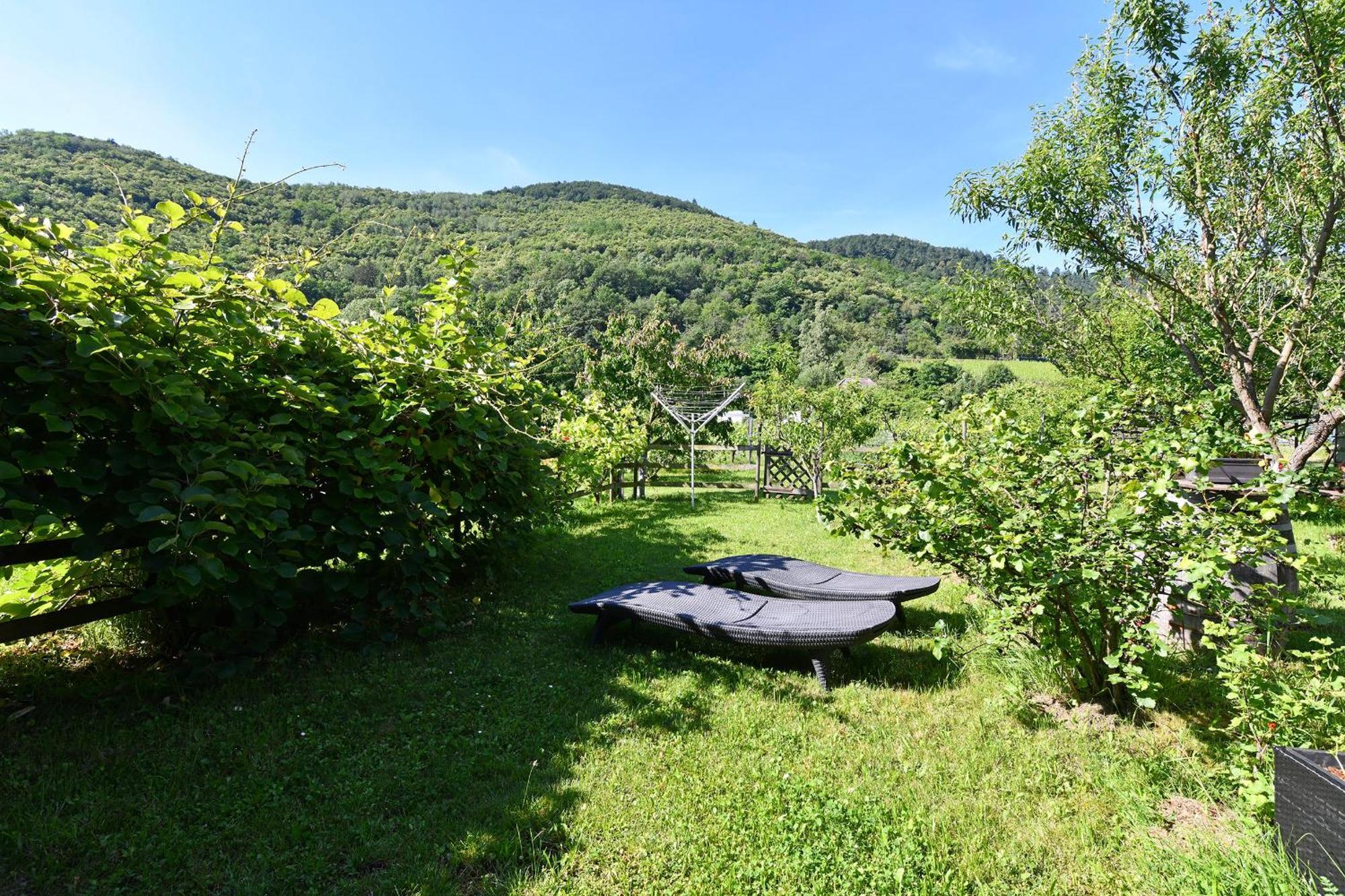 Paquerettes - Maison Avec Jardin Et Parking Kaysersberg-Vignoble Bagian luar foto